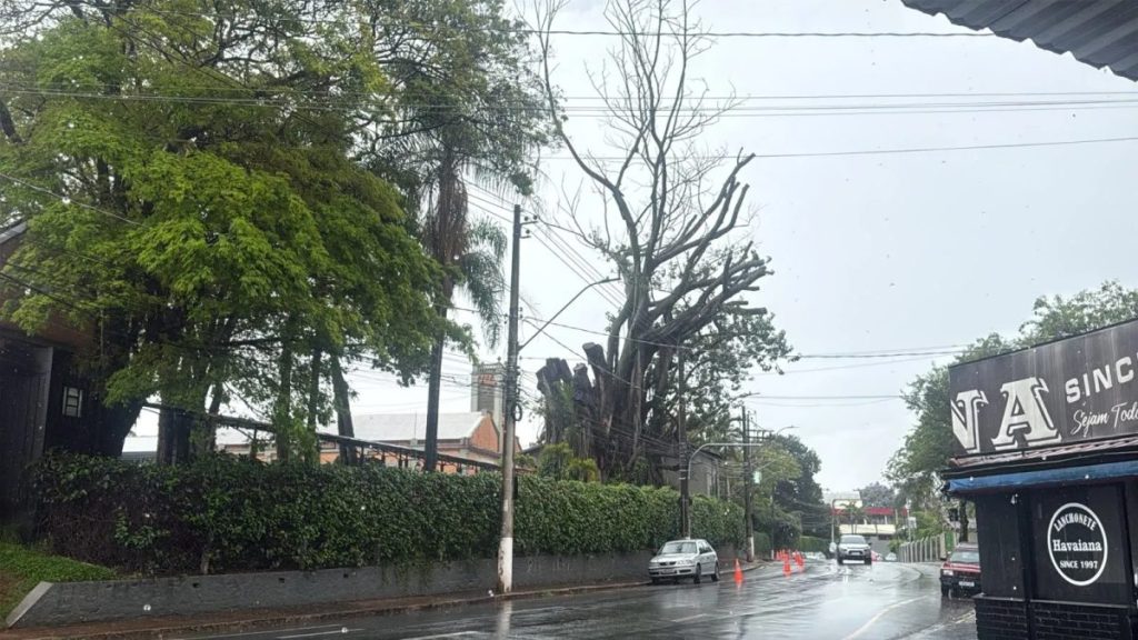 Chuva derruba árvore em escola e alaga posto de saúde na região de Campinas; Defesa Civil prepara esquema para eleições