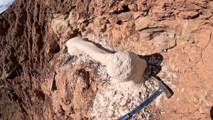 O que um osso de dinossauro encontrado no Peru pode revelar sobre o passado da Terra