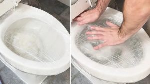 Vaso sanitário entupido? Truque com item que você tem na cozinha promete resolver sem esforço