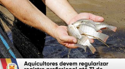 Aquicultores devem regularizar registro profissional até 31 de dezembro de 2026