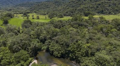 Brasil diminui em 43% área de vegetação nativa fragmentada