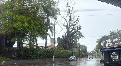 Chuva derruba árvore em escola e alaga posto de saúde na região de Campinas; Defesa Civil prepara esquema para eleições