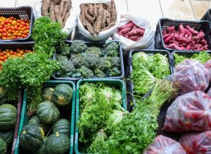Segurança alimentar exige esforço coletivo e articulação